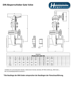 Absperrschieber PDF PN 160