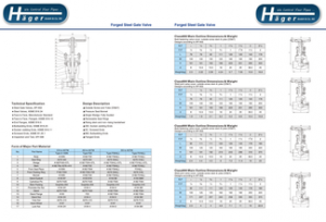 Forged Steel Gate Valve 1/4