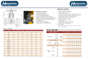 Forged Steel Gate Valve mit Flanged Ends