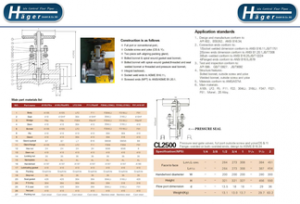 Forged Steel Gate Valve Flanged Ends 1/2