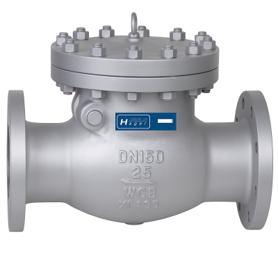 ANSI Check-Valve ANSI Check-Valve
